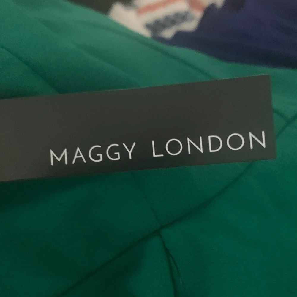 NWT Maggy London Aventurine Dress - Picture 4 of 4